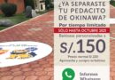 ¡Deja tu huella en el Okinawa Dōri!