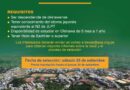 ¡Oportunidad de beca para descendientes de Okinawenses!